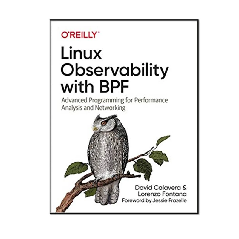 کتاب Linux Observability with BPF اثر David Calavera & Lorenzo Fontana انتشارات مؤلفین طلایی