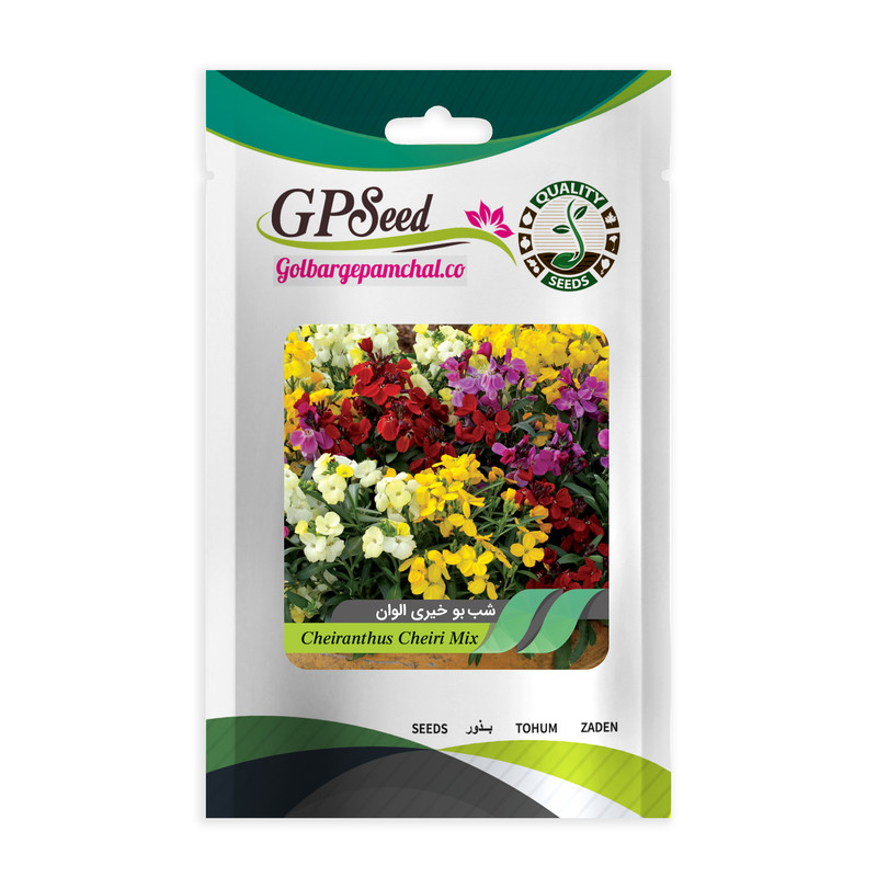 بذر گل شب بو خیری الوان جی پی سید مدل GP14690