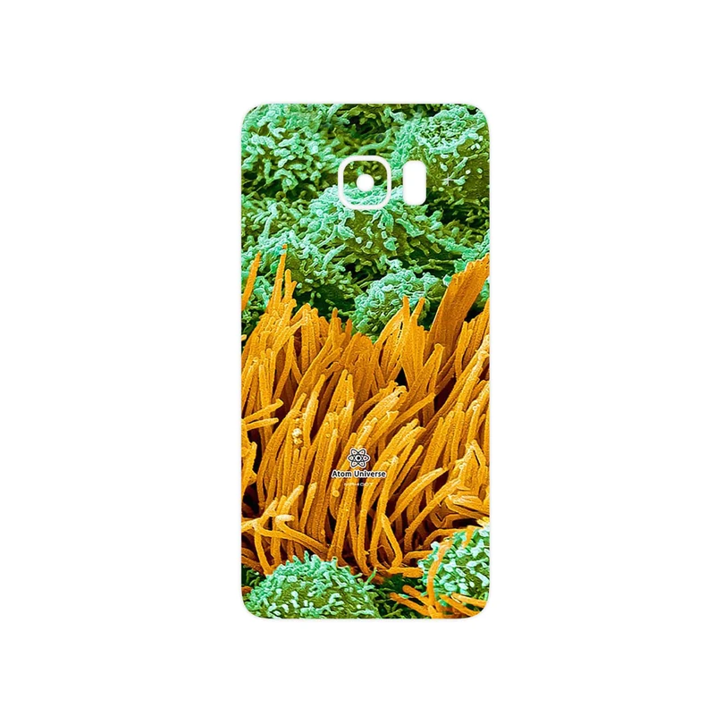 برچسب پوششی ماهوت مدل Atom Universe 6 مناسب برای گوشی موبایل سامسونگ Galaxy S6 Edge Plus