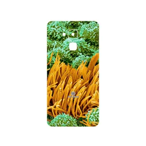 MAHOOT Atom Universe 6 Cover Sticker for Huawei Gt3