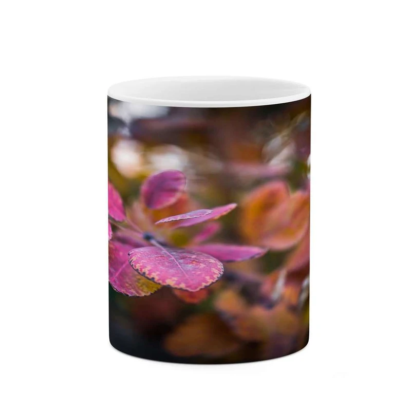 ماگ کاکتی مدل منظره کد mgh16140