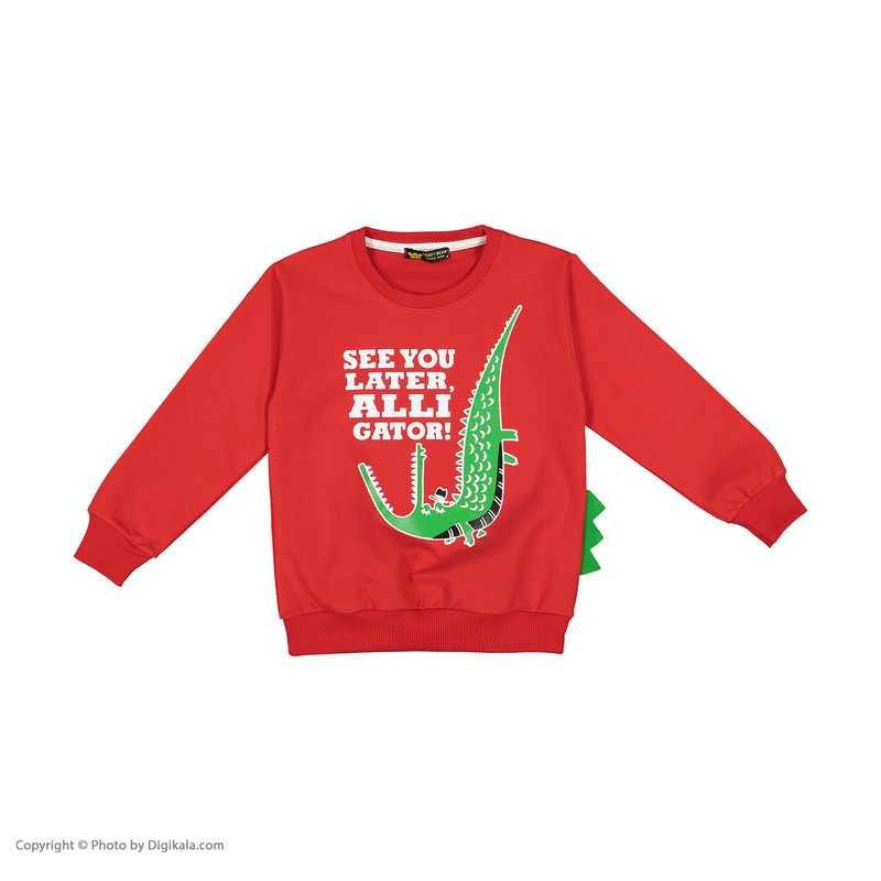 سویشرت پسرانه خرس کوچولو مدل 2011169-72