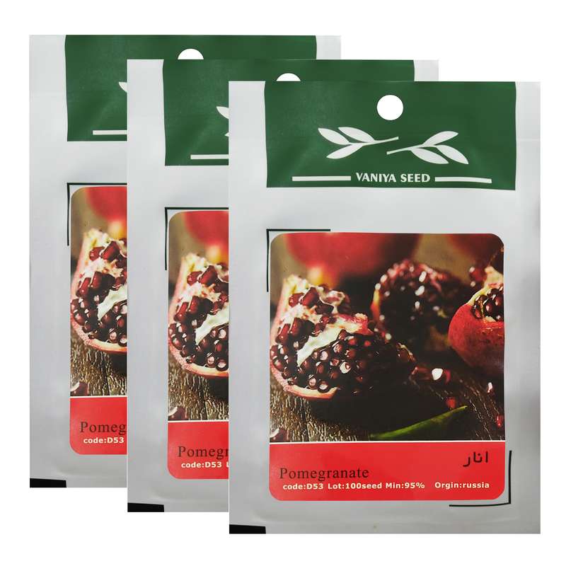 بذر بنسای انار وانیا سید کد D53 مجموعه 3 عددی بذر بنسای انار وانیا سید کد D53 مجموعه 3 عددی