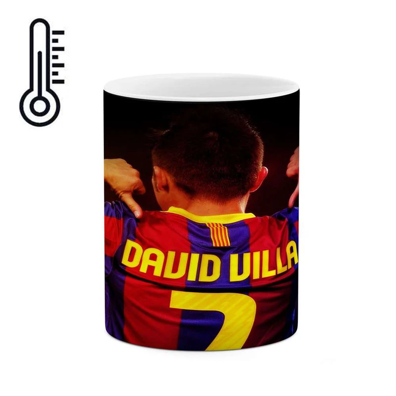 ماگ حرارتی کاکتی مدل داوید ویا کد  mgh12319