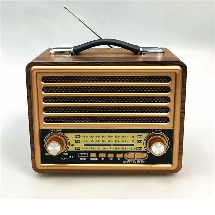 رادیو ری زنک مدل 2077BT