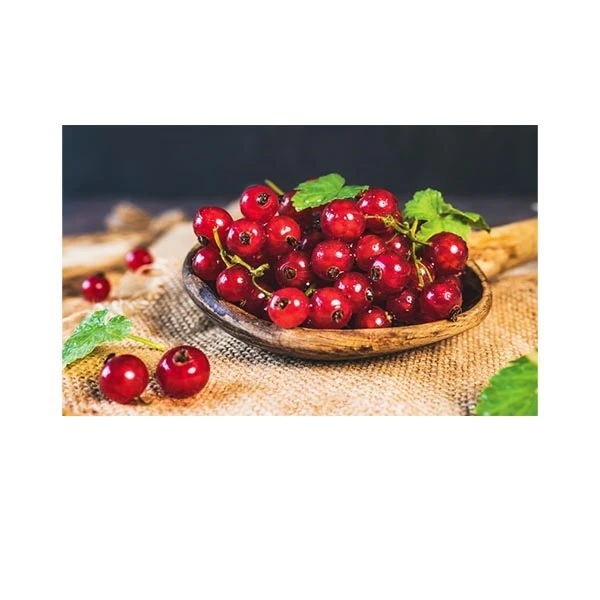   پادری مدل آشپزخانه کد HSHMH0046 سایز 76x46 سانتی متر