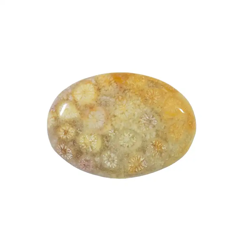 سنگ فسیل مرجان کد TG6537