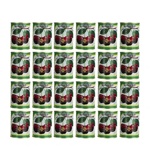 کمپوت گیلاس خوشاب -350 گرم بسته 24 عددی