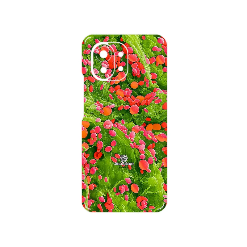 برچسب پوششی ماهوت مدل Atom Universe 3 مناسب برای گوشی موبایل شیائومی Mi 11 5G