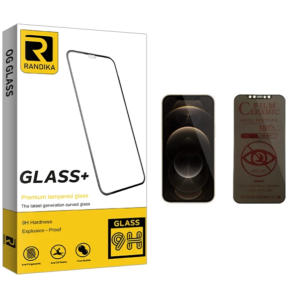 محافظ صفحه نمایش حریم شخصی راندیکا مدل Gld مناسب برای گوشی موبایل اپل iPhone 12 Pro Max