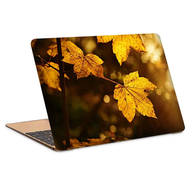 استیکر لپ تاپ طرح sheet autumn branch کد P-955 مناسب برای لپ تاپ 15.6 اینچ