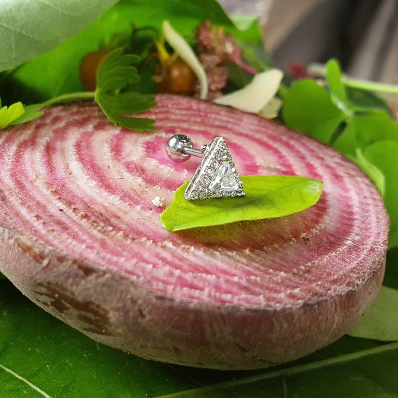 پیرسینگ گوش زنانه پایتخت مدل PS331