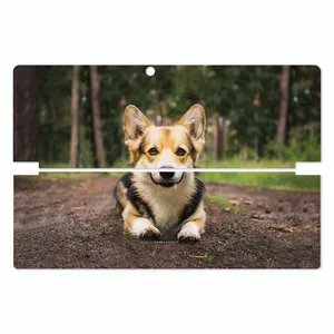 MAHOOT Dog-2 Cover Sticker for Lenovo Miix 510 2016