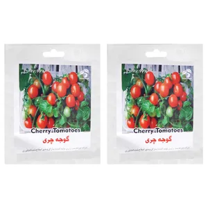 بذر گوجه چری گرین فارم مدل 085 بسته 2 عددی