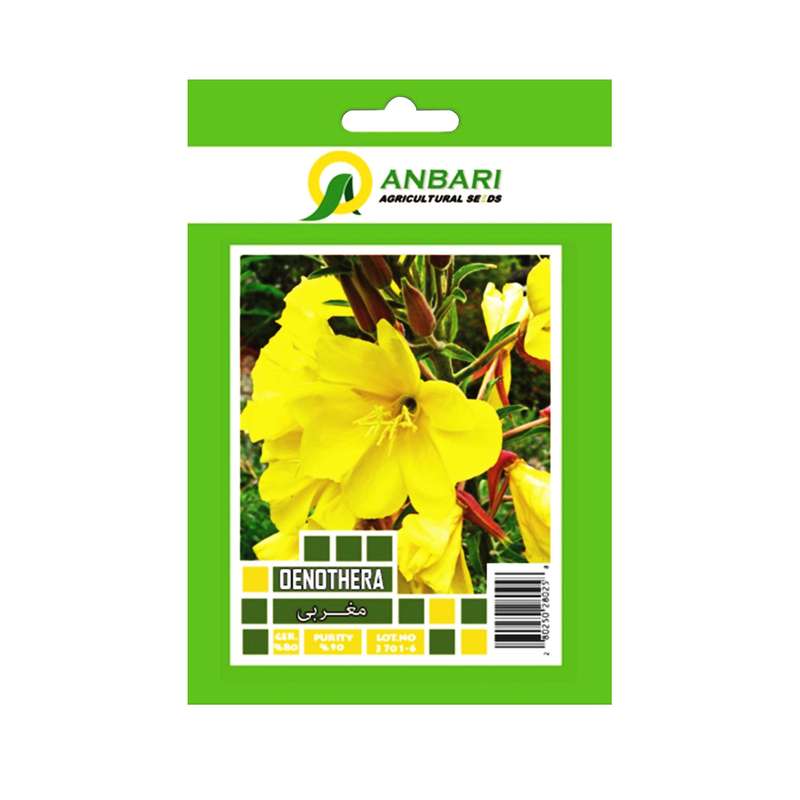 بذر گل مغربی بذر عنبری کد BZA-035