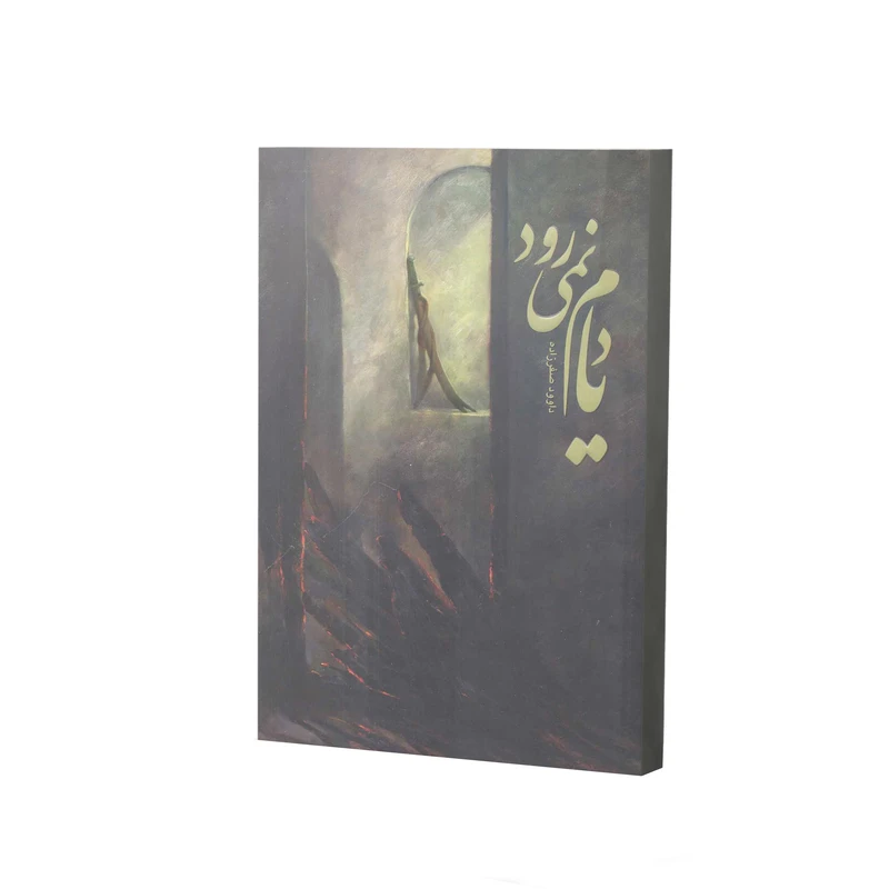 کتاب یادم نمی رود اثر داوود صفرزاده انتشارات آفاق