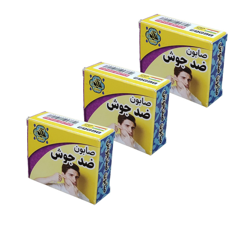 صابون شستشو گیاهستان حکیم مدل ضد جوش وزن 70 گرم بسته 3 عددی صابون شستشو گیاهستان حکیم مدل ضد جوش وزن 70 گرم بسته 3 عددی