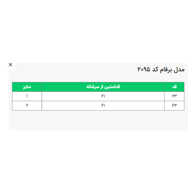 بلوز آستین بلند زنانه السانا مدل برفام کد 209523