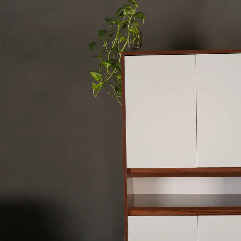 جاکفشی مدل رویان