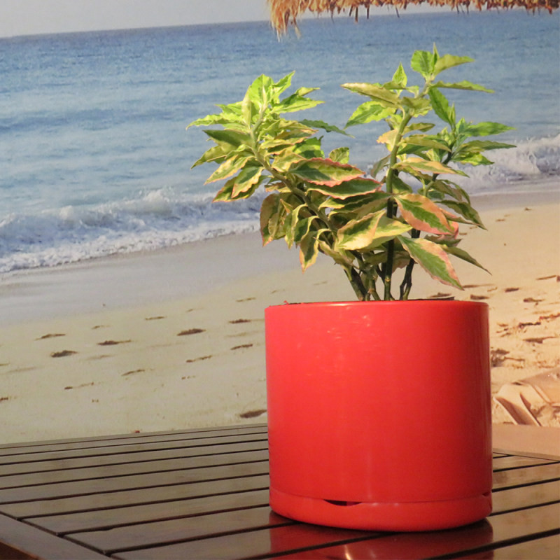 گلدان مدل مهرناز کد 905