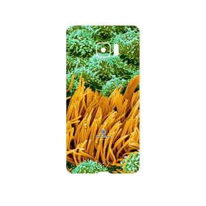 MAHOOT Atom Universe 6 Cover Sticker for HTC U Ultra