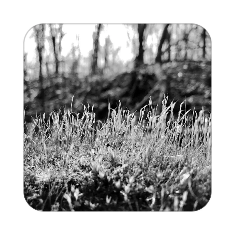 زیر لیوانی کاکتی طرح گل مدل mp16435