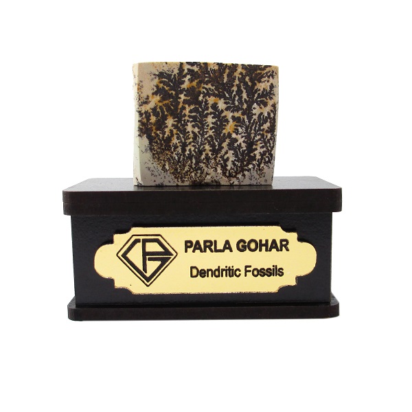 سنگ راف شجر فسیلی پارلا گوهر کد 2192