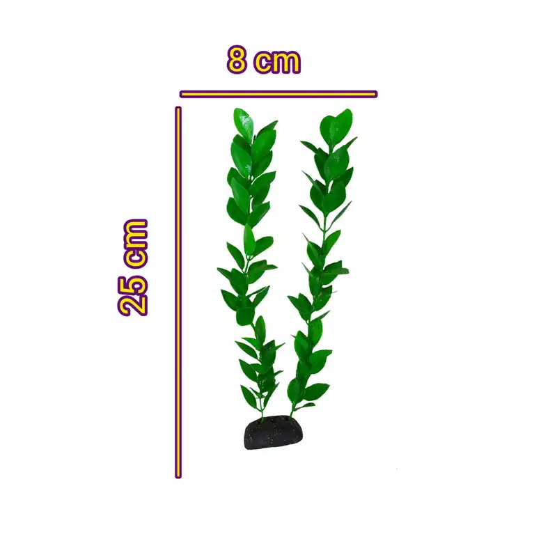 گیاه تزیینی آکواریوم مدل لودویجیا s30
