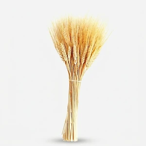 گل خشک مدل خوشه گندم کد30
