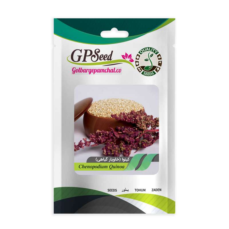 بذر کینوا خاویار گیاهی گلبرگ پامچال کد GPF-214