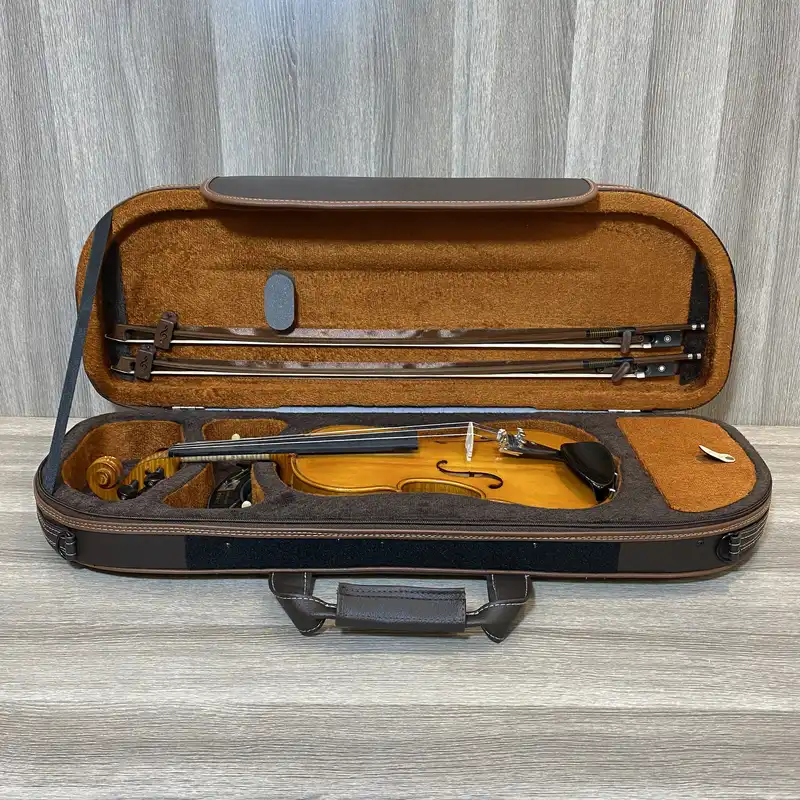 هاردکیس ویولن مدل GSAGSM