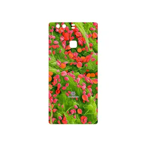 MAHOOT Atom Universe 3 Cover Sticker for Huawei P9 Plus