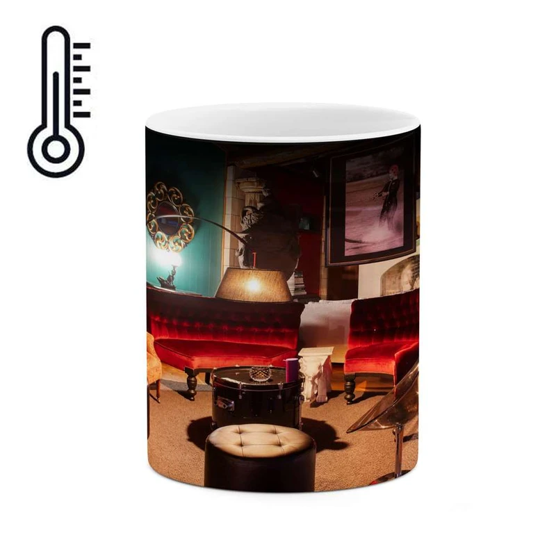 ماگ حرارتی کاکتی مدل دکوراسیون کد mgh15233