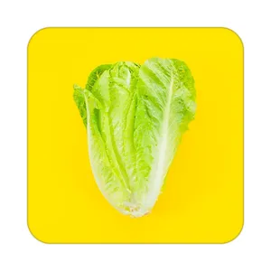 زیر لیوانی کاکتی طرح میوه مدل mp21524