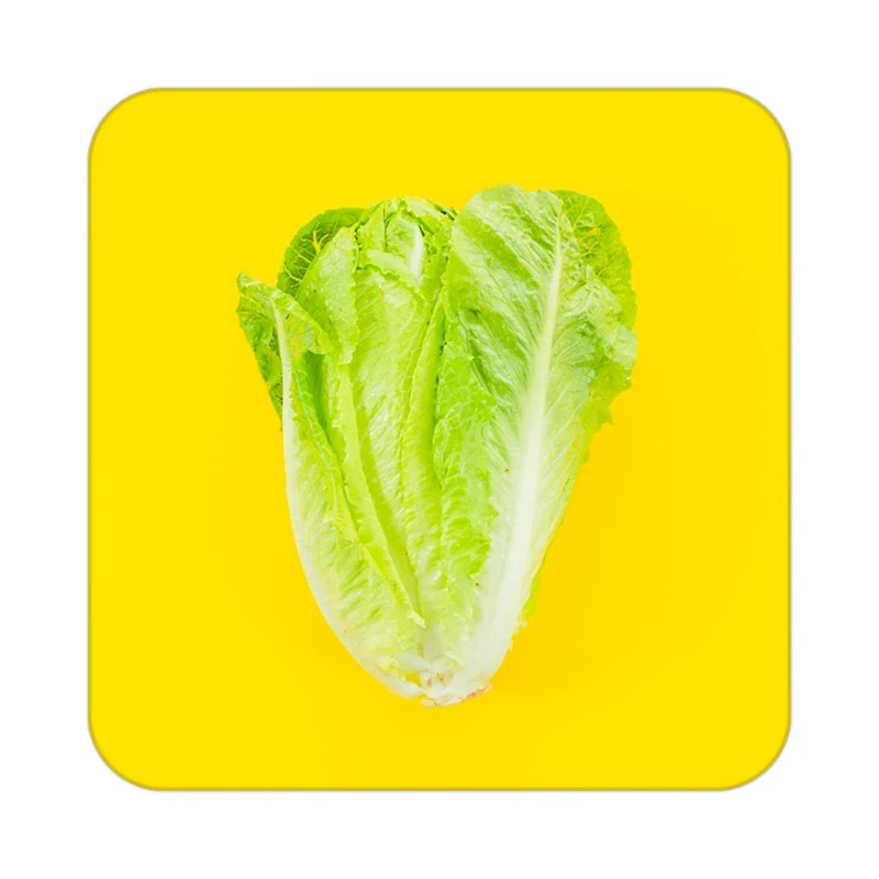 زیر لیوانی کاکتی طرح میوه مدل mp21524