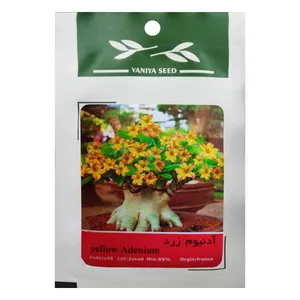 بذر بنسای آدنیوم زرد وانیا سید مدل V45