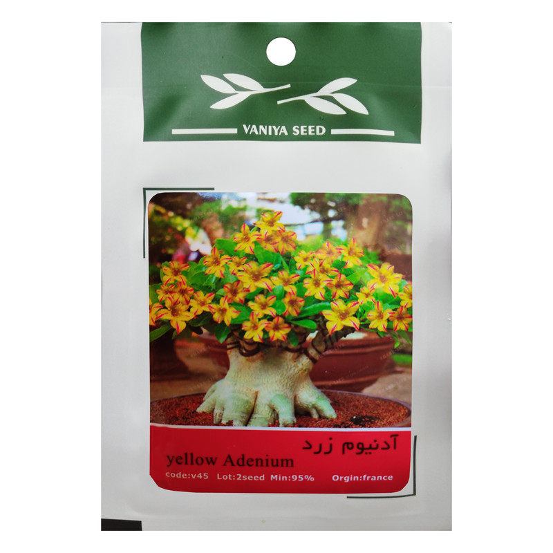 بذر بنسای آدنیوم زرد وانیا سید مدل V45