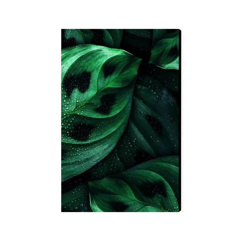 تابلو شاسی عرش مدل فانتزی هنری کد As4351