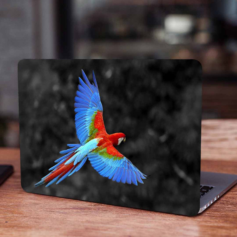 استیکر لپ تاپ طرح Macaw کد p-1178 مناسب برای لپ تاپ 15.6 اینچ