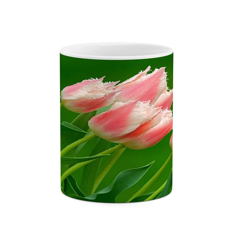 ماگ کاکتی مدل گل کد mgh12114