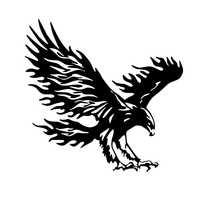 برچسب بدنه خودرو طرح عقاب کد b234