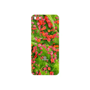 MAHOOT Atom Universe 3 Cover Sticker for Honor 7S