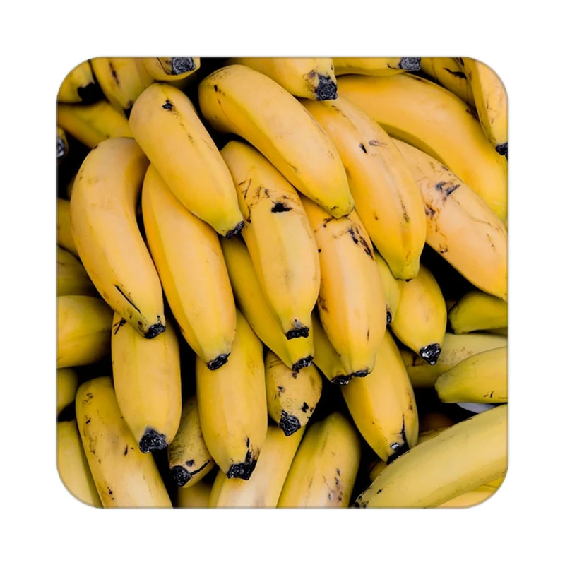 زیر لیوانی کاکتی طرح میوه مدل mp22282