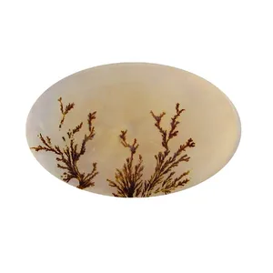 سنگ شجر پارلا گوهر کد 5136