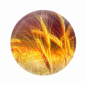 مگنت عرش طرح فانتزی گندم زار کد Asm4281
