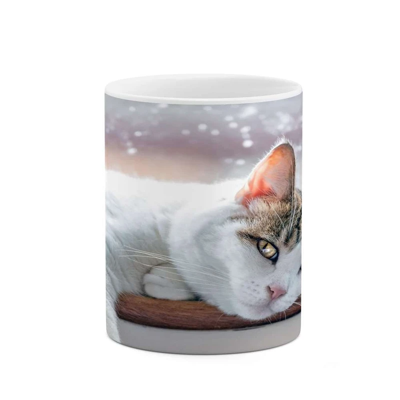 ماگ کاکتی مدل گربه کد mgh15721