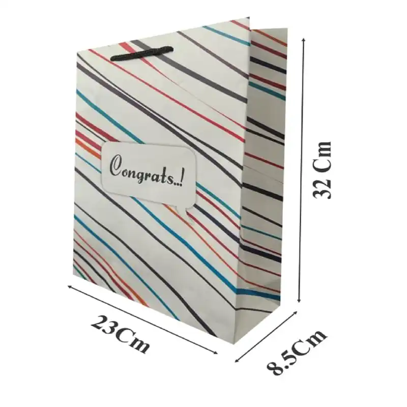 ساک هدیه مدل مقوایی کد M400  مجموعه 12 عددی