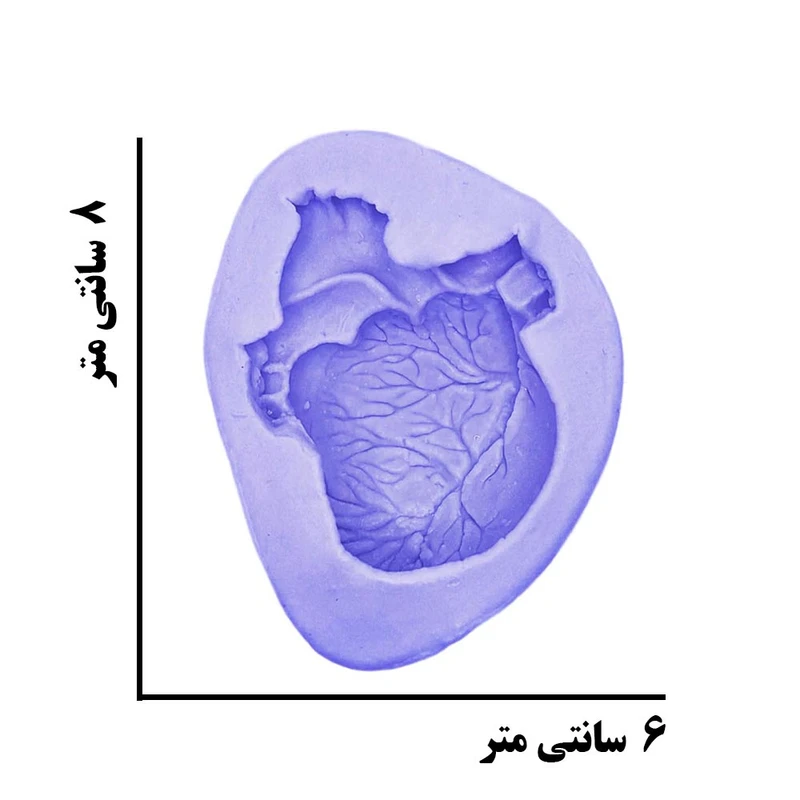 عکس شماره 4