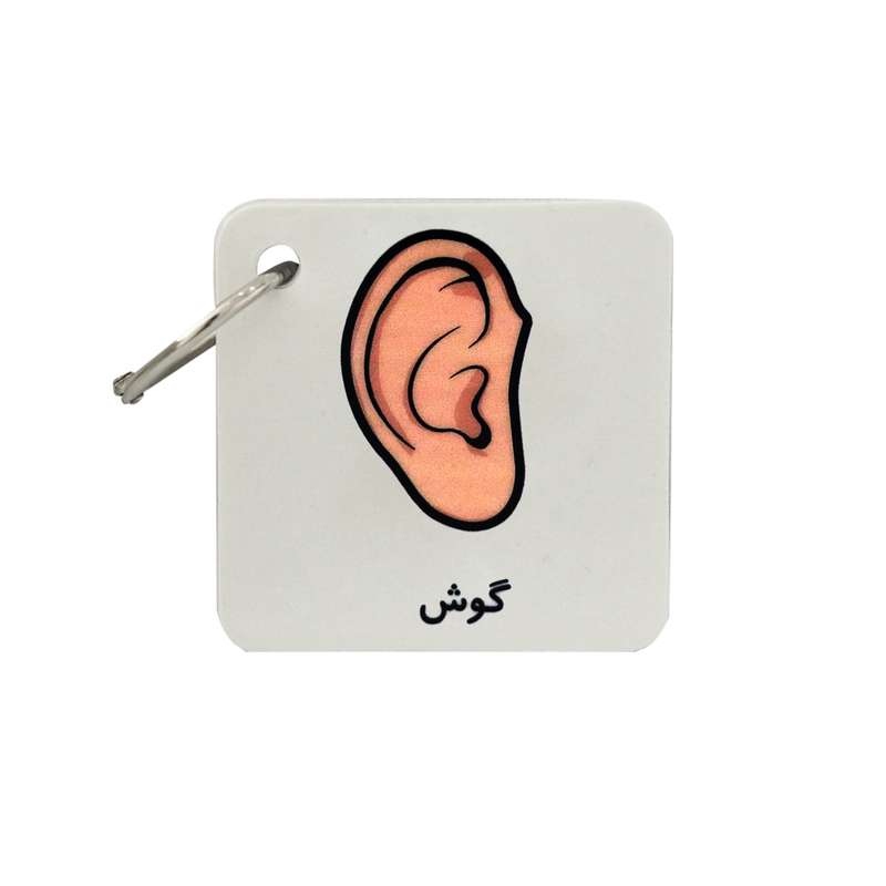 بازی آموزشی مدل کارت تصویری طرح اعضای بدن