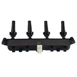 کوئل بی آی جی کد 001 مناسب برای 206 تیپ 2